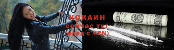 трава Арсеньев