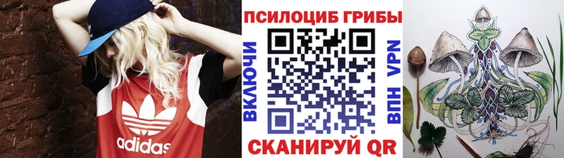 Псилоцибиновые грибы MAGIC MUSHROOMS  Судогда 